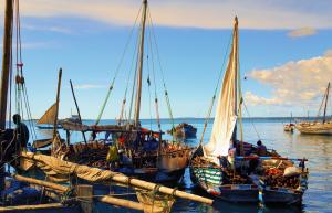Sleepy Sail Boats Zanzibar